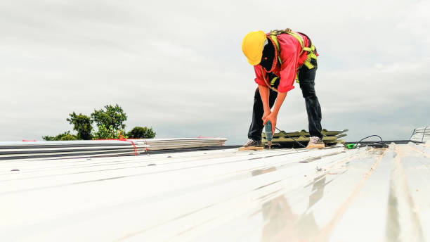 Best Roof Ventilation Installation  in Waverly, MI