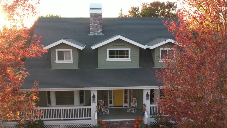 Best Roof Maintenance and Cleaning  in Waverly, MI
