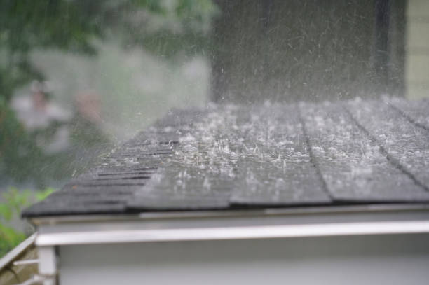 Best Steel Roofing  in Waverly, MI