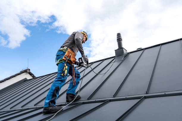 Best Roof Repair  in Waverly, MI