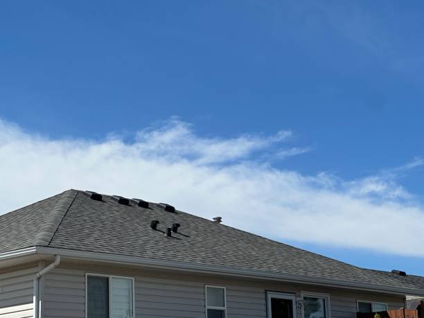 Best Slate Roofing  in Waverly, MI